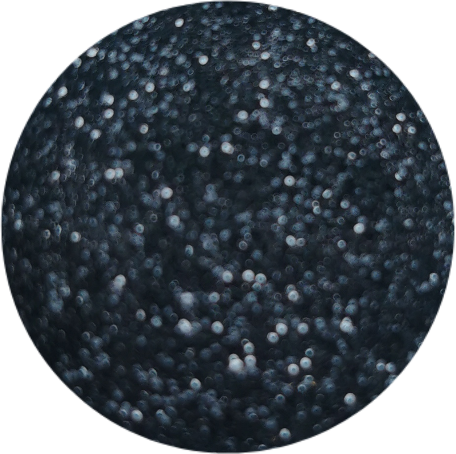 Glitter fine n.45