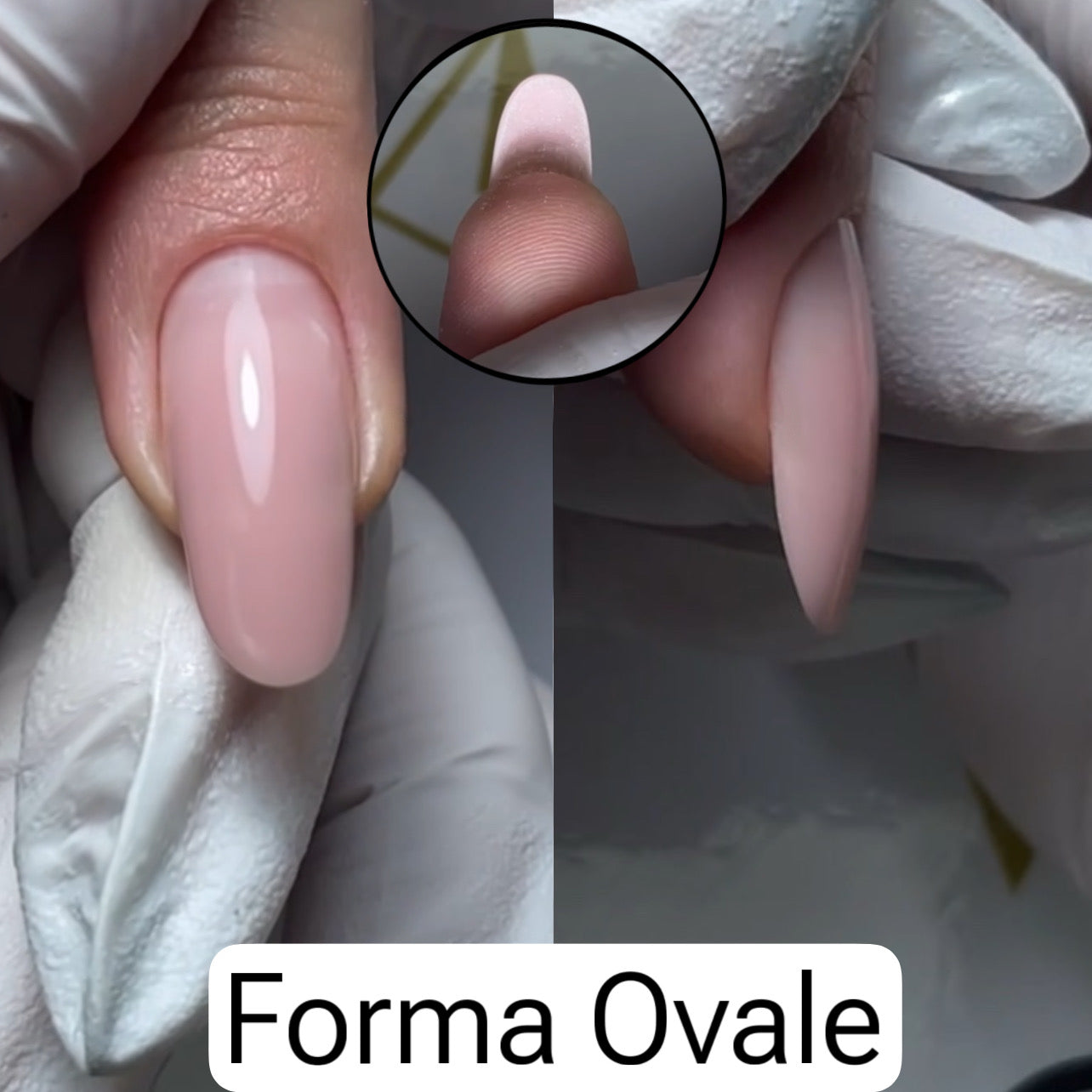 Percorso Online  Dual Form Pro  Avanzato