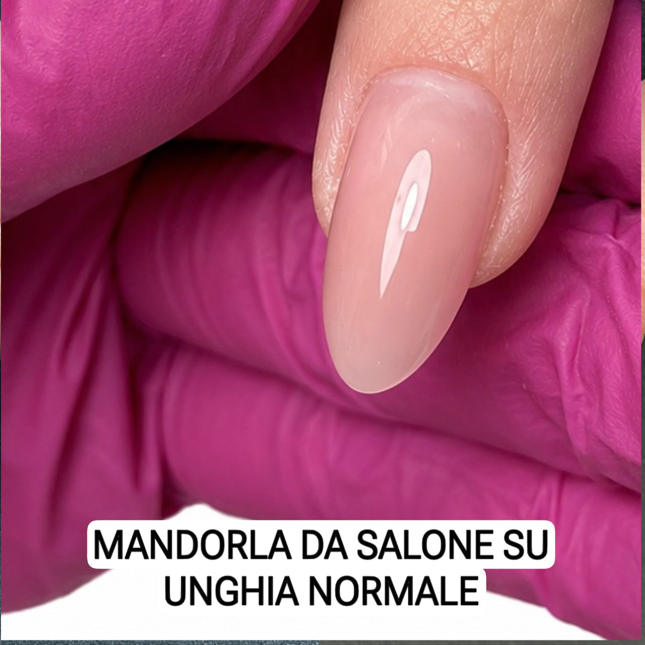 Percorso Online  Dual Form Pro  Avanzato