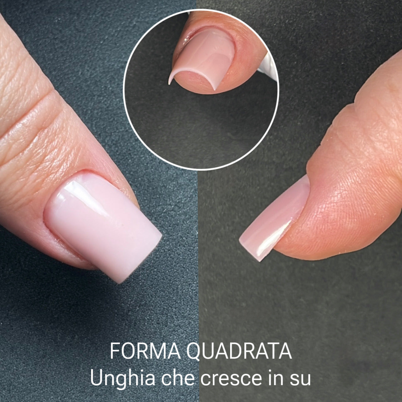 Percorso Online  Dual Form Pro  Avanzato